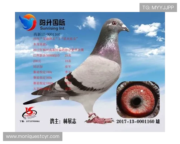 AG国际首页常见问题解答,解决新手玩家的登录、充值与提现疑问 AG国际首页常见问题解答,解决新手玩家的登录、充值与提现疑问