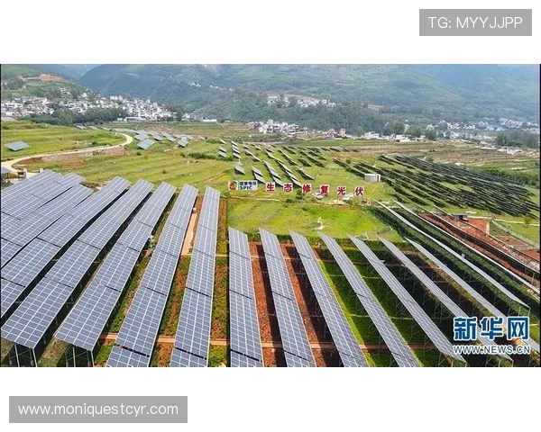 AG电投厅的未来发展趋势分析助力玩家把握行业动态实现持续盈利